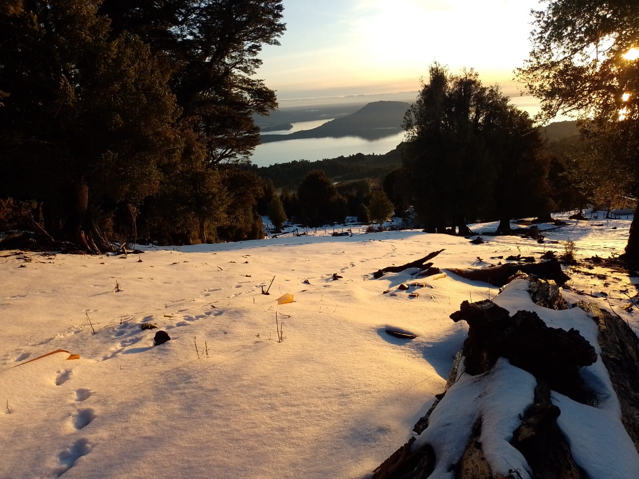 Imperdible Terreno De 4 Ha / Vista Lagos/volcanes Puyehue