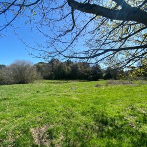 Venta De Parcela En Ruta Internacional 215 - Km 55 - Puyehue