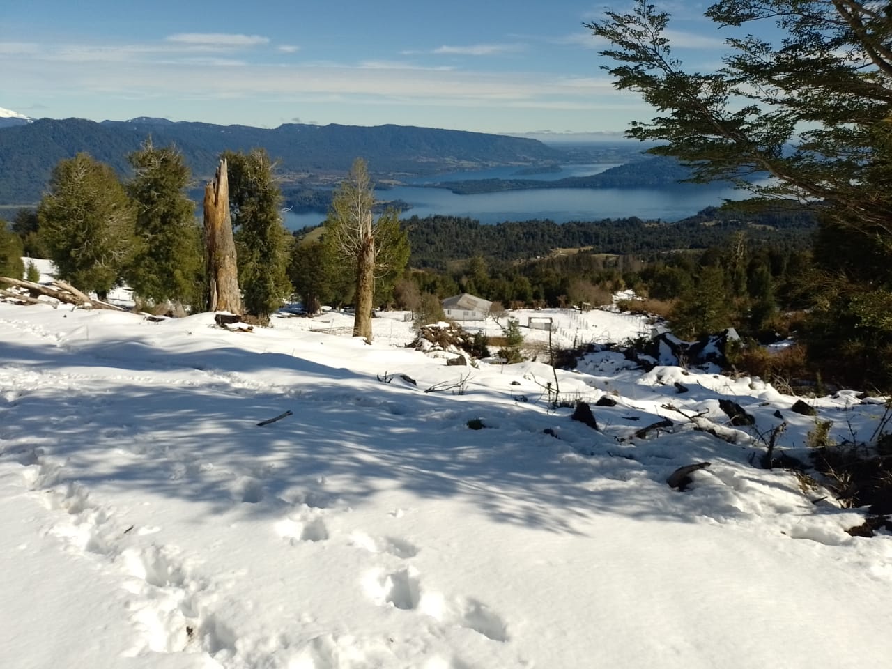Imperdible Terreno De 4 Ha / Vista Lagos/volcanes Puyehue - Imagen 2