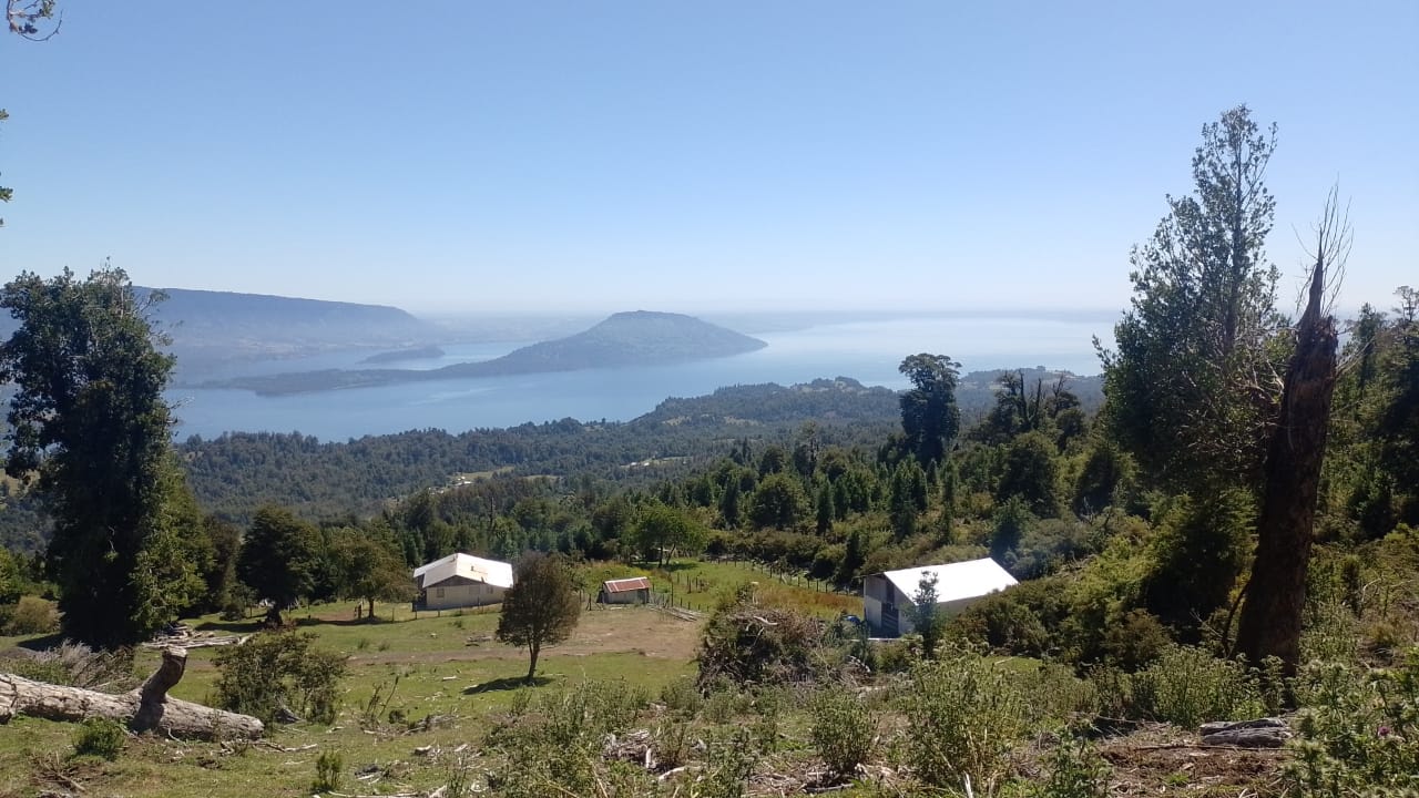 Imperdible Terreno De 4 Ha / Vista Lagos/volcanes Puyehue - Imagen 3