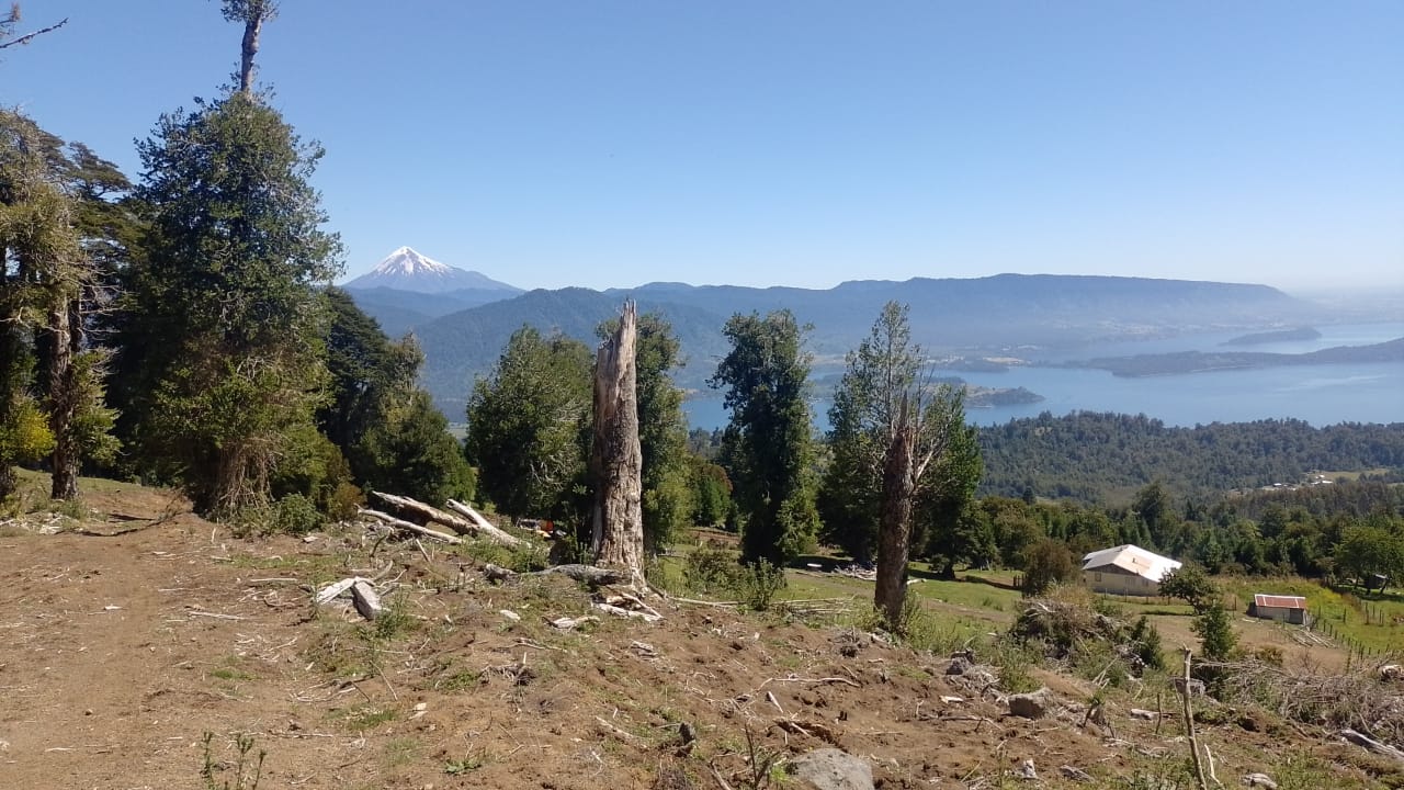 Imperdible Terreno De 4 Ha / Vista Lagos/volcanes Puyehue - Imagen 4