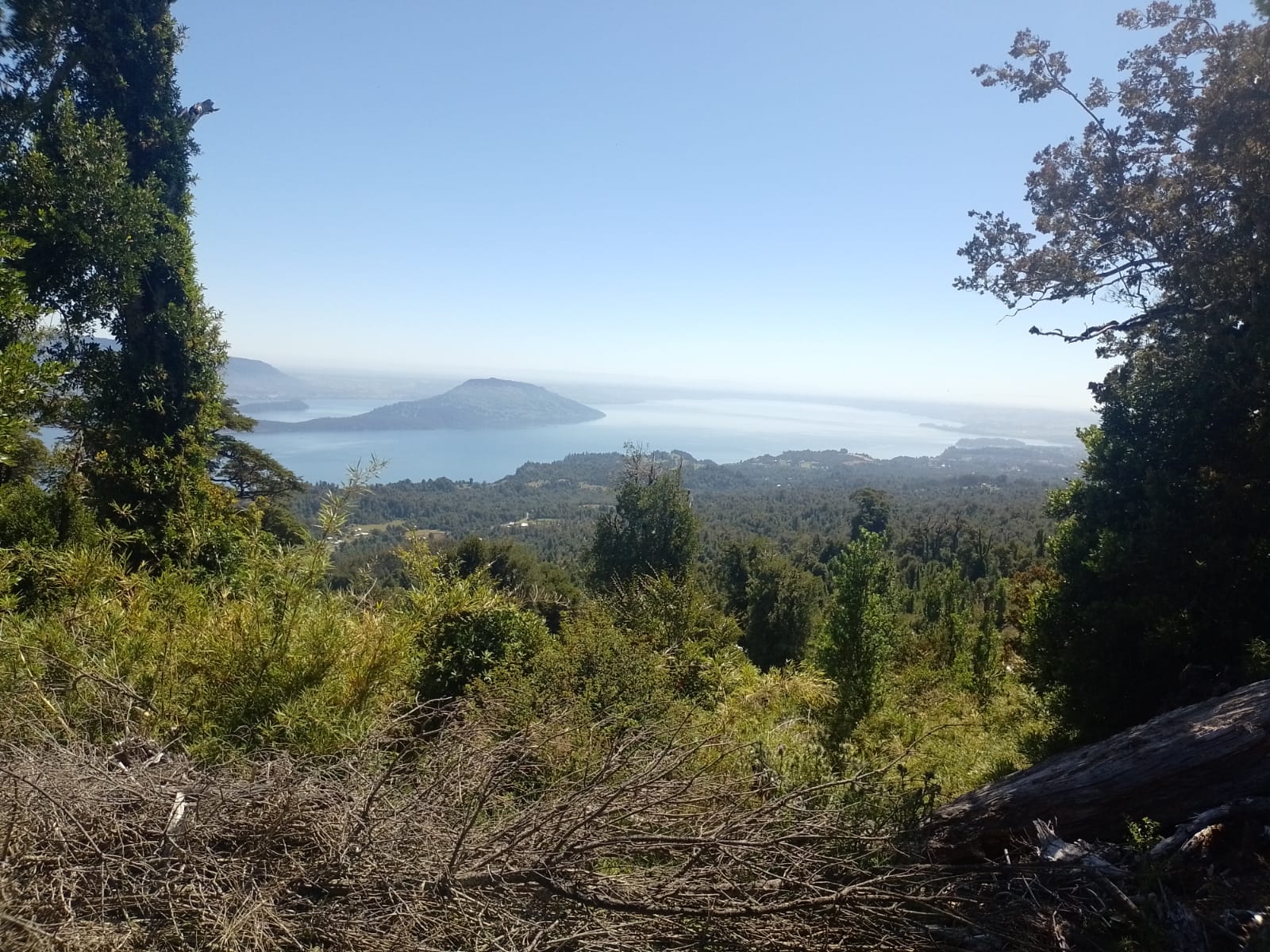 Imperdible Terreno De 4 Ha / Vista Lagos/volcanes Puyehue - Imagen 5