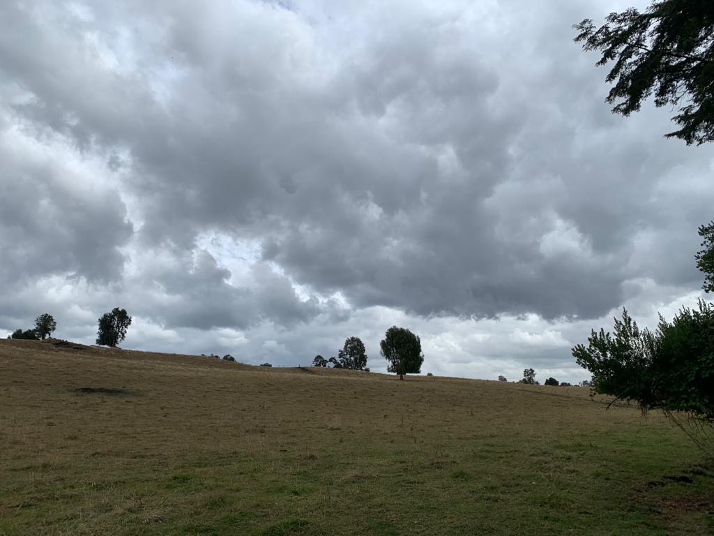 Campo En Ticahue / Mantilhue / 57 Ha Ganadero - Imagen 4